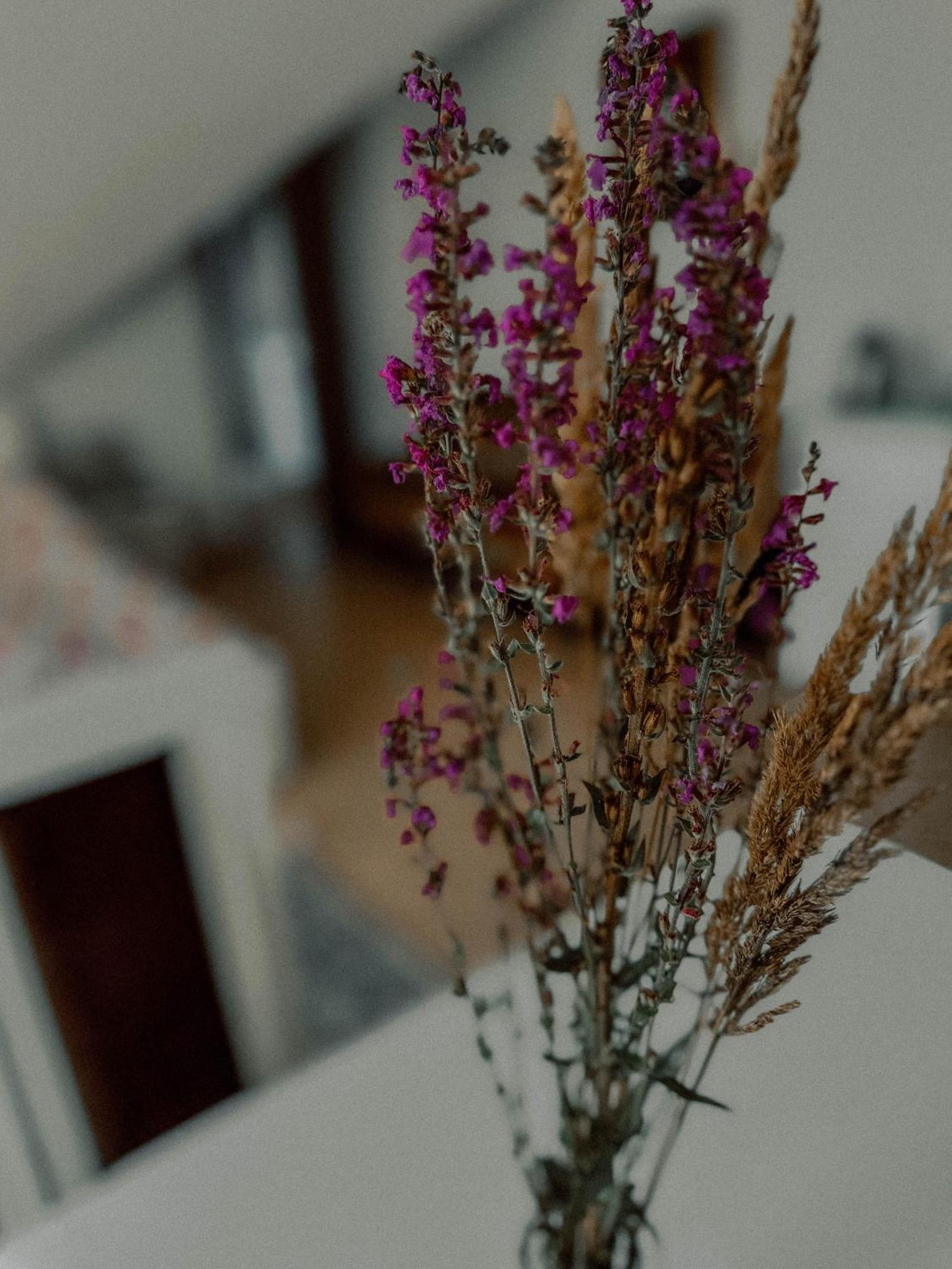 Boho Przystan Łazy Exteriér fotografie