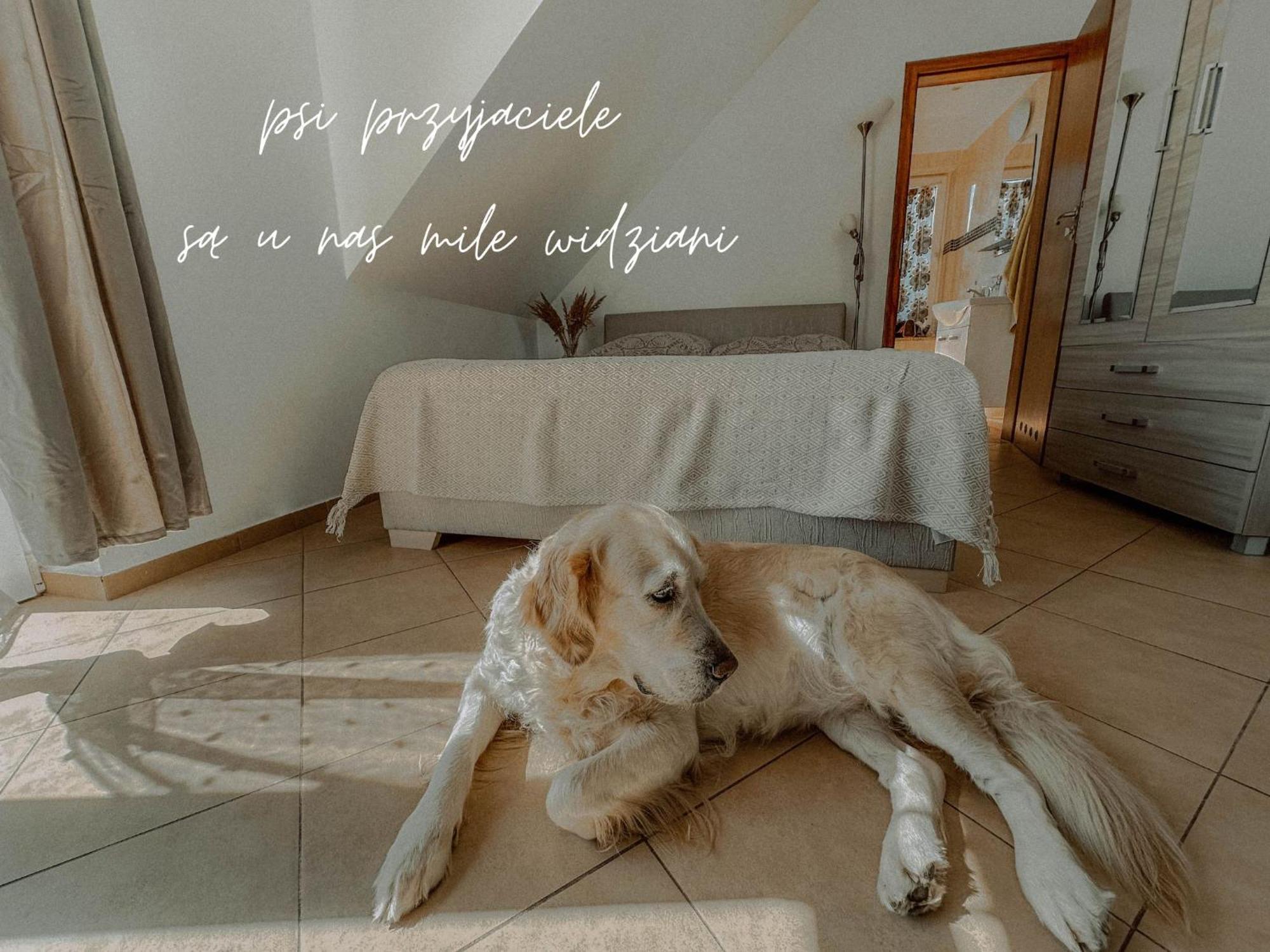 Boho Przystan Łazy Exteriér fotografie