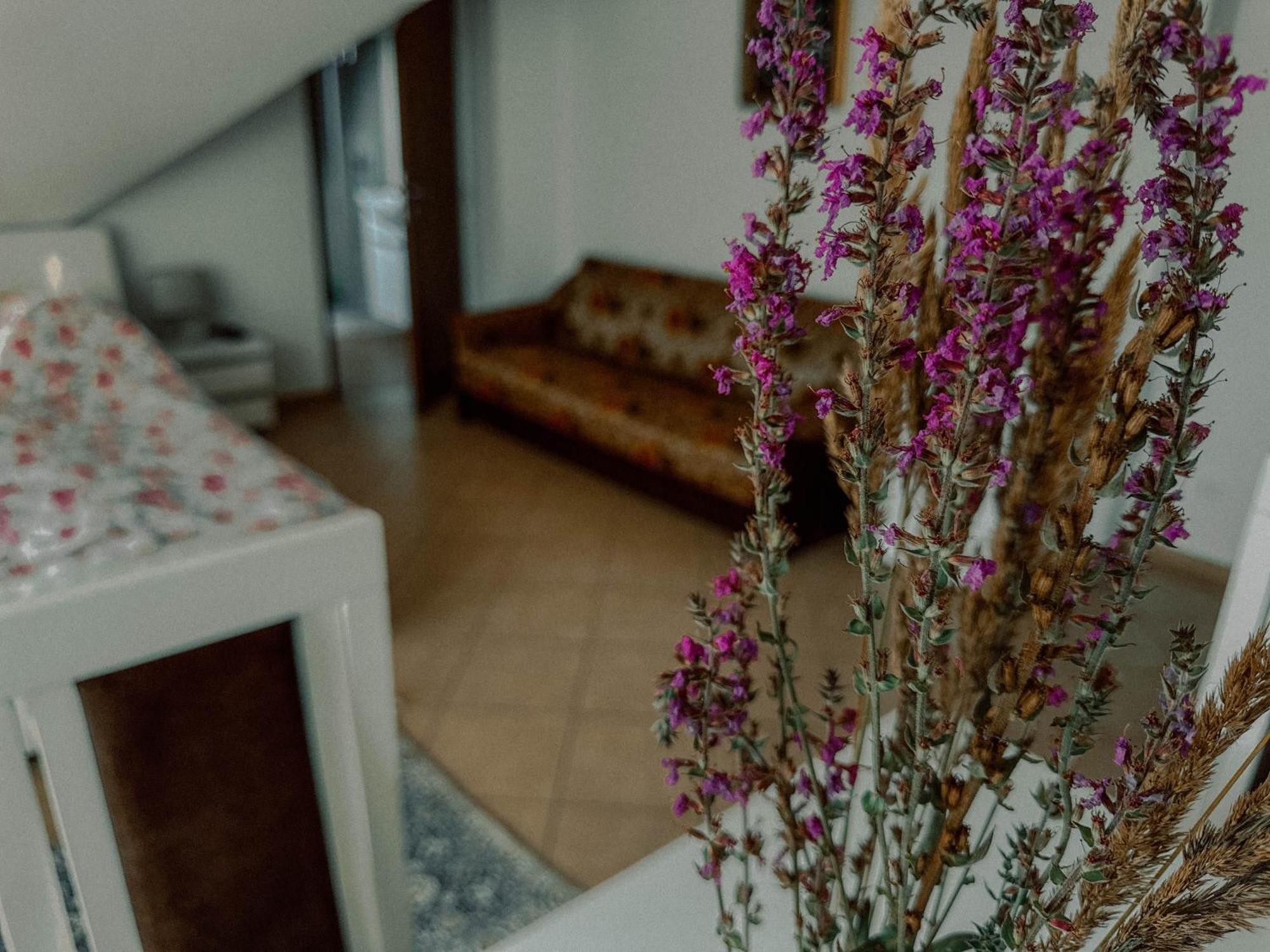 Boho Przystan Łazy Exteriér fotografie